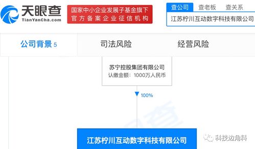 苏宁控股布局数字文化新领域 柠川互动数字公司成立，拓展健身休闲与数字文创